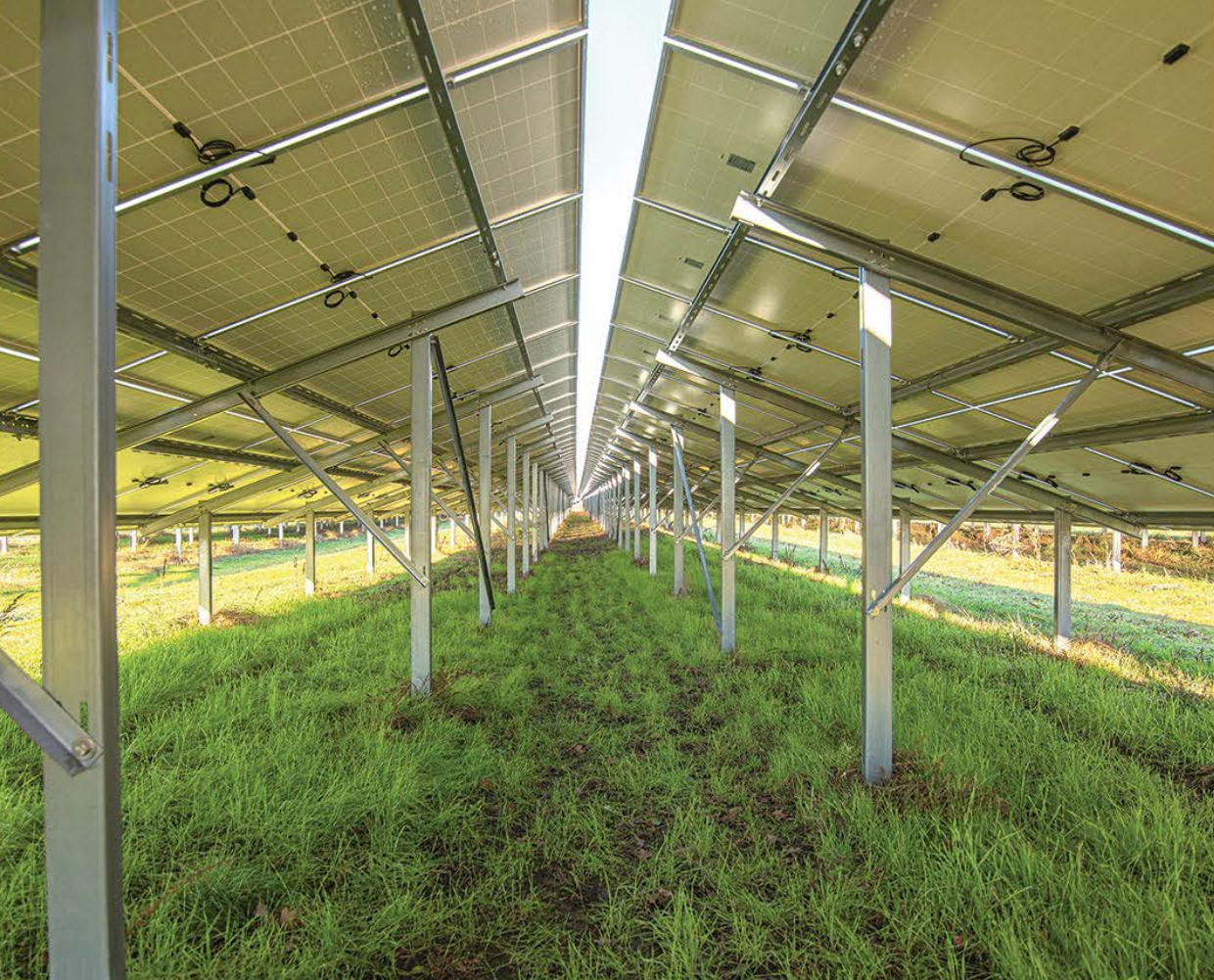 Sistem de montaj fotovoltaic la sol pentru 100 Panouri 40/euro/modul